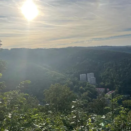 Bellevue * Bad Harzburg